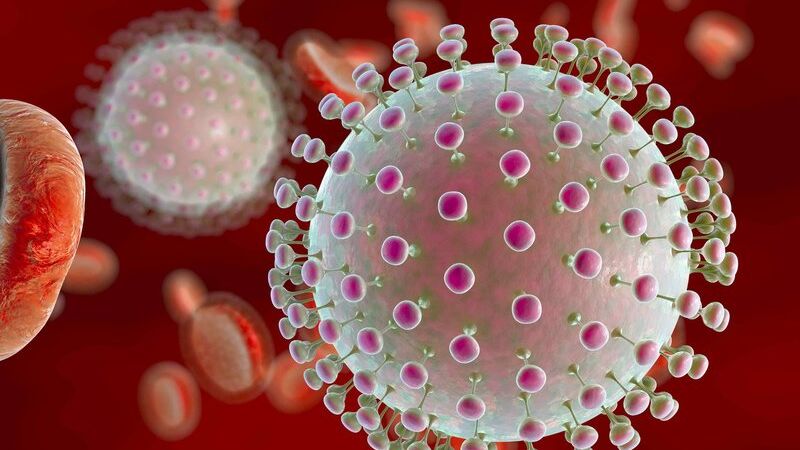 Cập Nhật Về Nghiên Cứu Liên Cầu Khuẩn Nhóm B Trong Sản Khoa Và Phụ Khoa